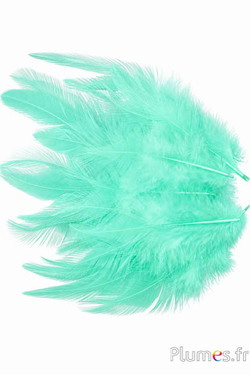 Haan - 8-12 cm - groen water